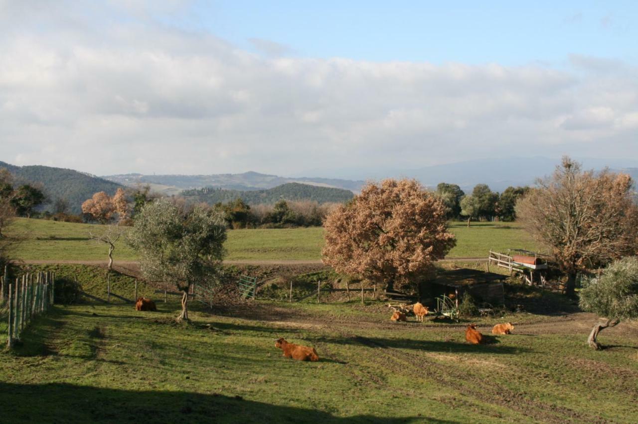 Farmhouse Tuscany Montecastelli Pisano Exterior photo