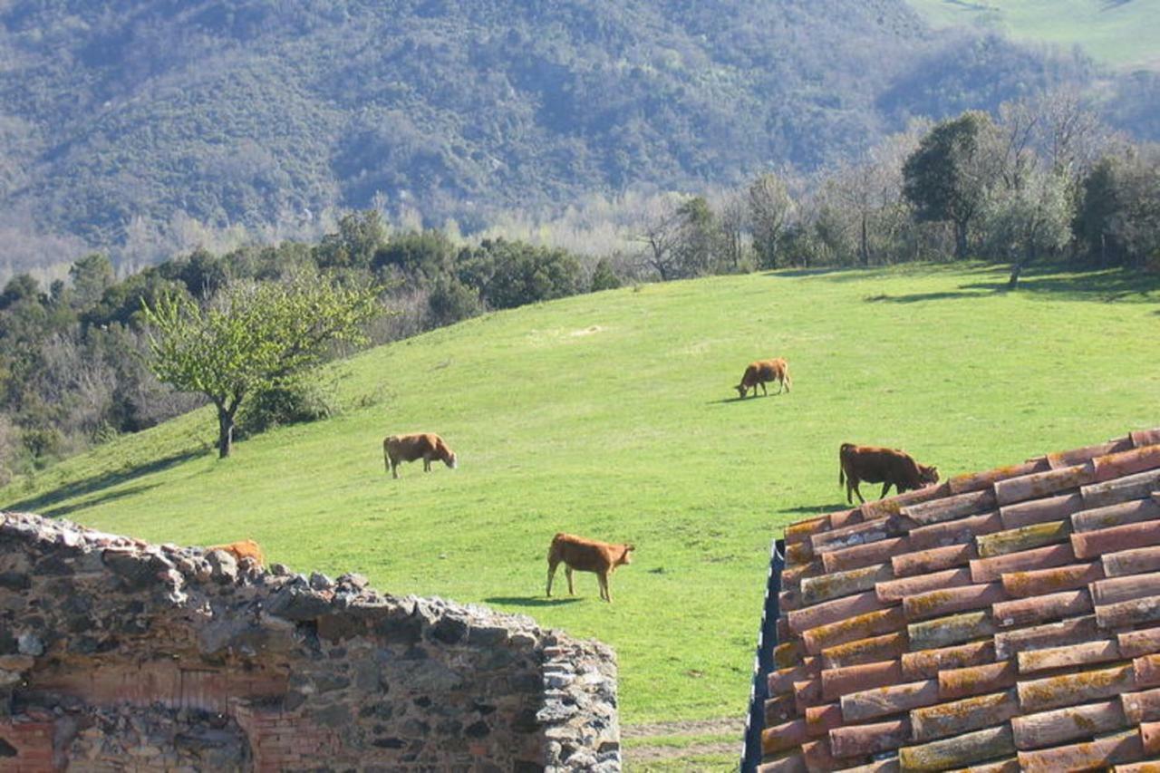 Farmhouse Tuscany Montecastelli Pisano Exterior photo